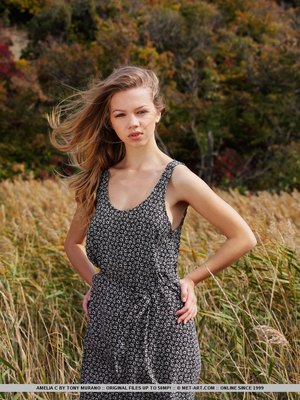 Amelia C