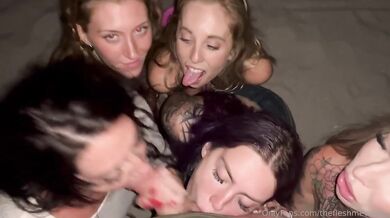 Pět pornohvězd se dělí o jednoho ptáka při skupinové kouřce v POV