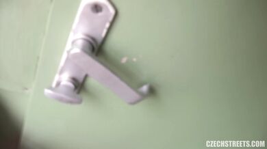 Sex s průvodčí na toaletě ve vlaku